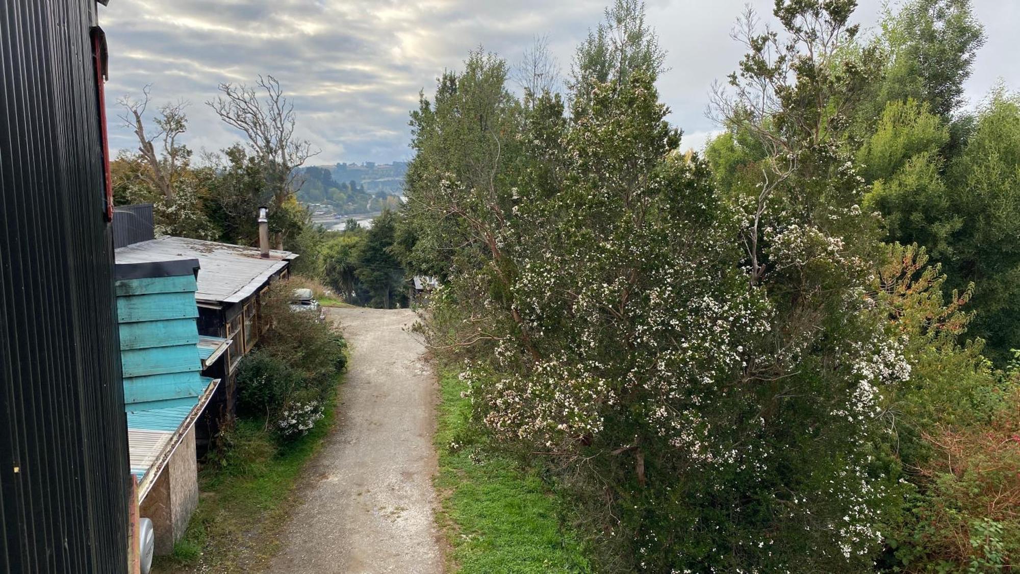 Room In Urban Garden Castro Εξωτερικό φωτογραφία